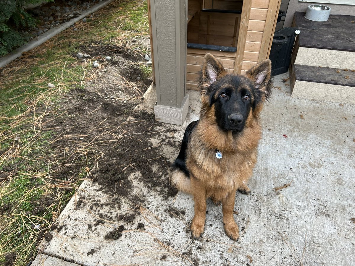 Take a look at this little digger.