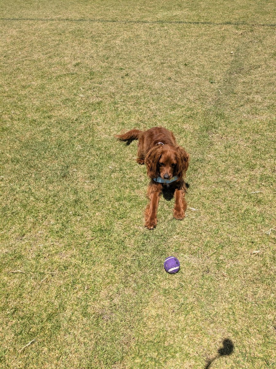 paulfenwick's tweet image. How #Sundays should be spent ... #SummerVibes