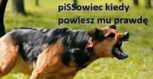 PiS-owiec po usłyszeniu prawdy