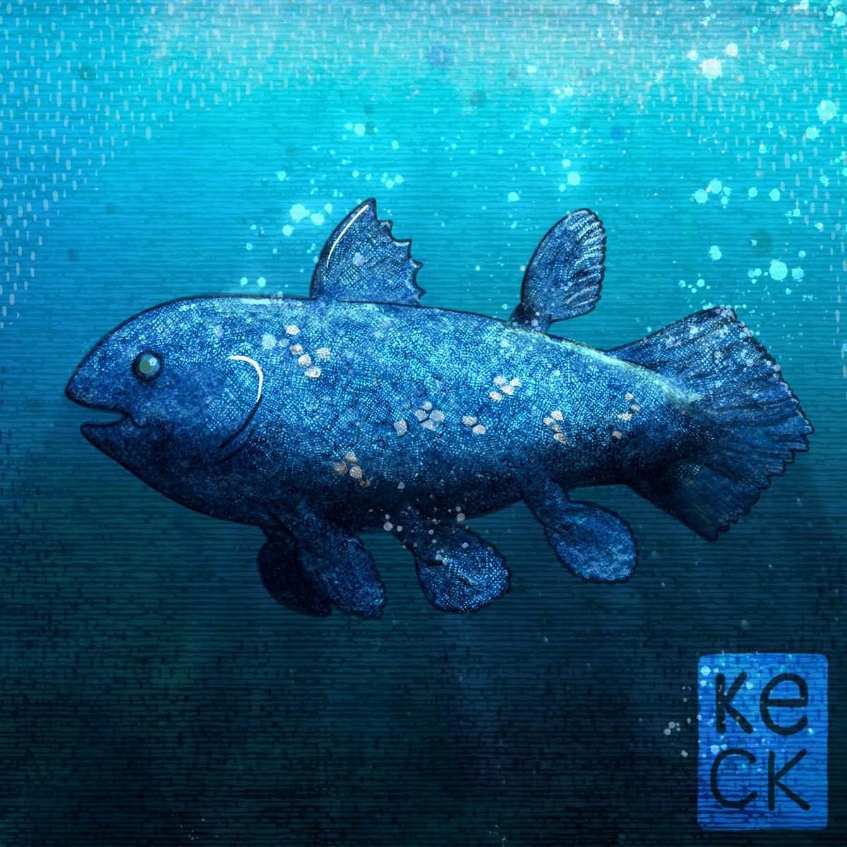 keckda's tweet photo. Cheerful Coelacanth Enjoys Swimming Prefers Its Own Side of the Beach #webcomic #digitalart https://t.co/flZiBemIgz