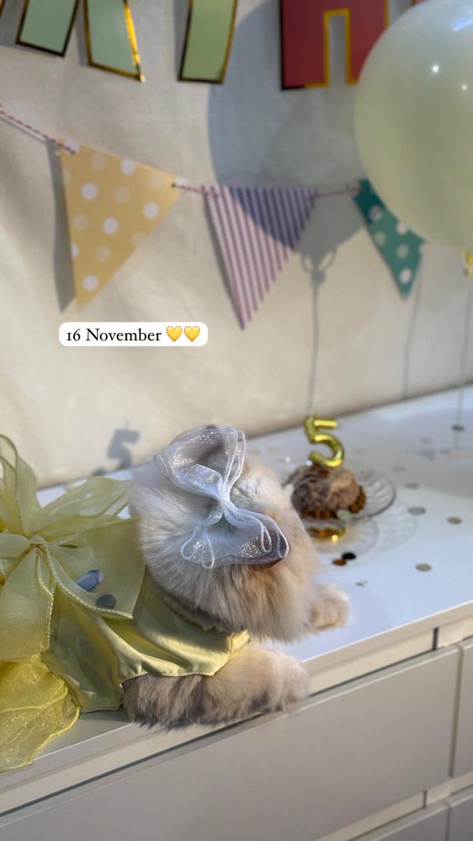 s0s_304's tweet photo. جميلة نوفمبر 💛
Happy birthday.. https://t.co/U5jeskUTDH