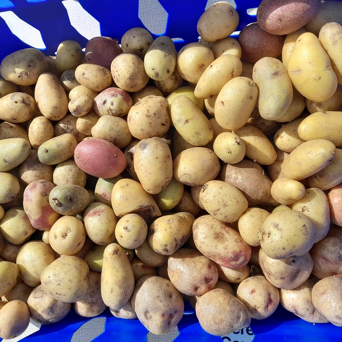 New venue for FoodShare tomorrow (Monday). 11.30 at Saxon Hall - Putson Community Centre Hoarwithy Road HR2 6HE
Hope to see you there!