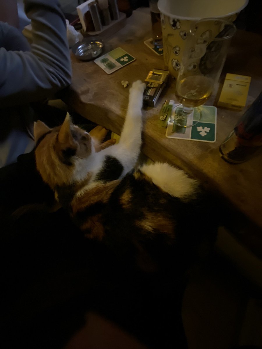 koca yerde geldi sak diye kucagima kuruldu. valla alip eve goturecegim agir olmasi umrumda degil