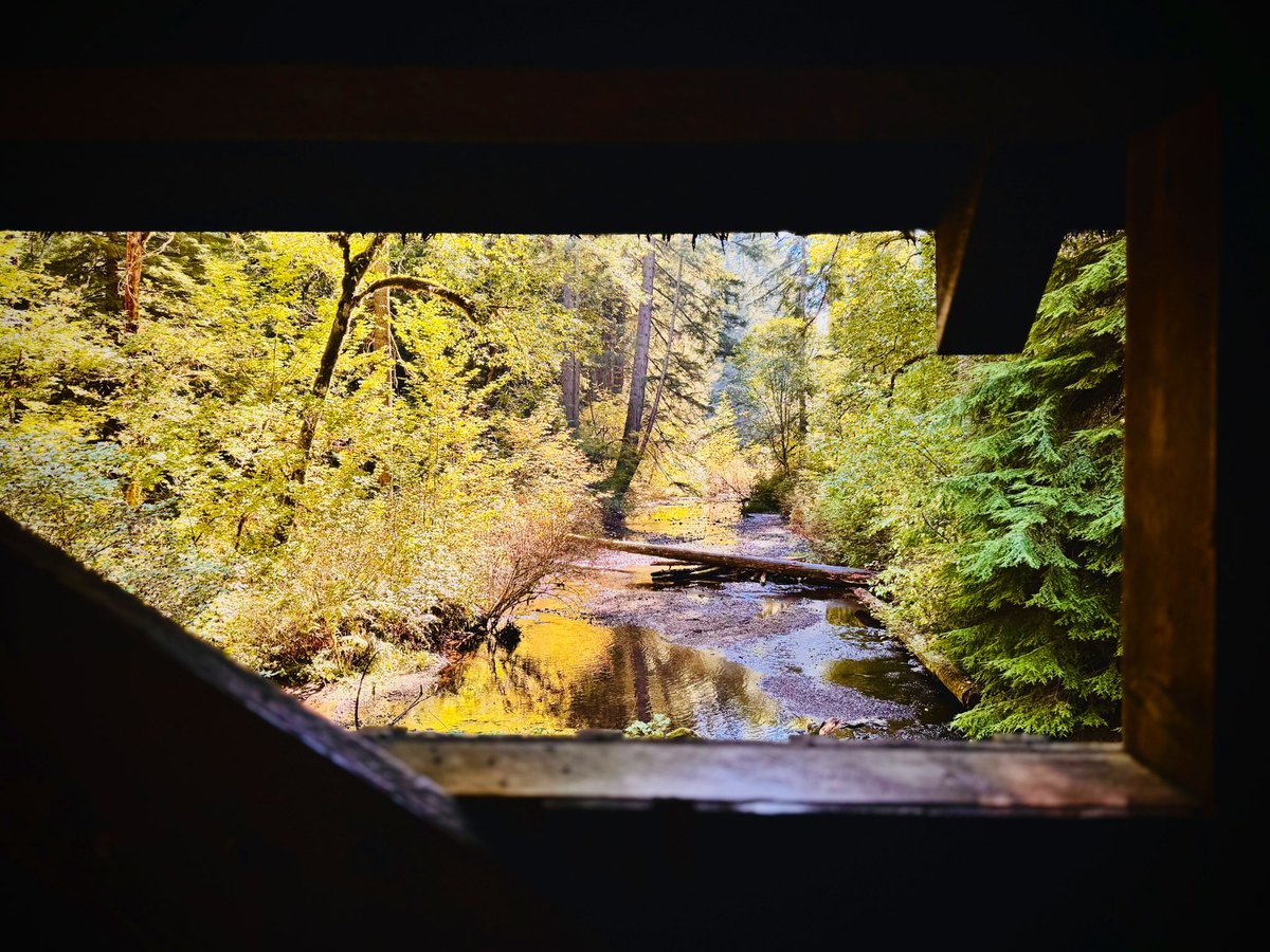 Today’s photography challenge is: THROUGH A WINDOW QP or share your favorite view through a window 🪟🙌🏽