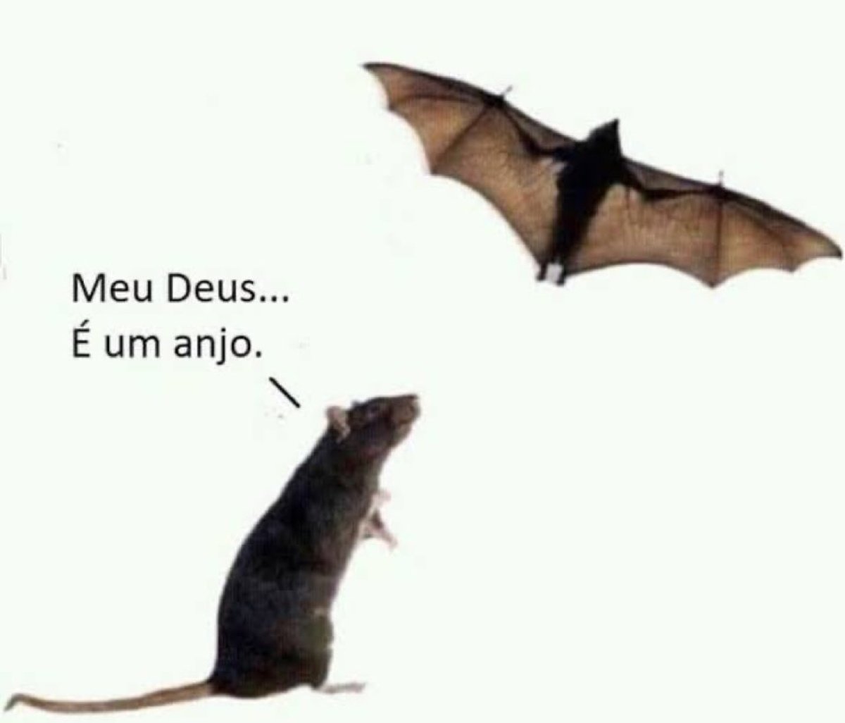 Limaloucura's tweet photo. @gaabesancti https://t.co/qK331HbFix