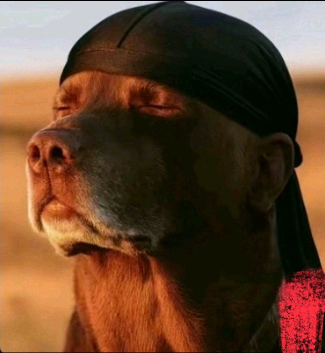 Kenny0fweb3's tweet image. Small sleep wey I sleep una don tear Avalon