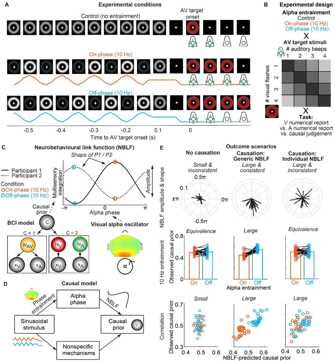 Daniel Senkowski tweet media