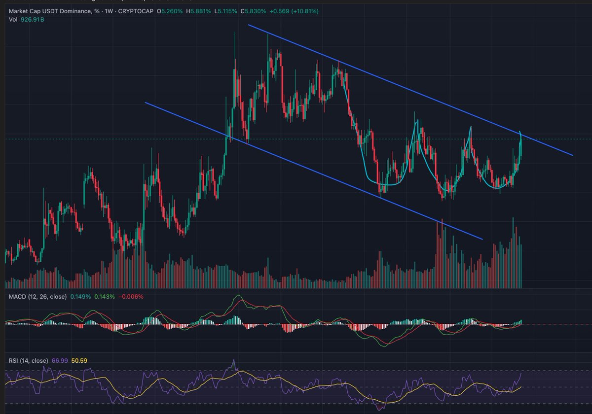 Tullah Nazari tweet media