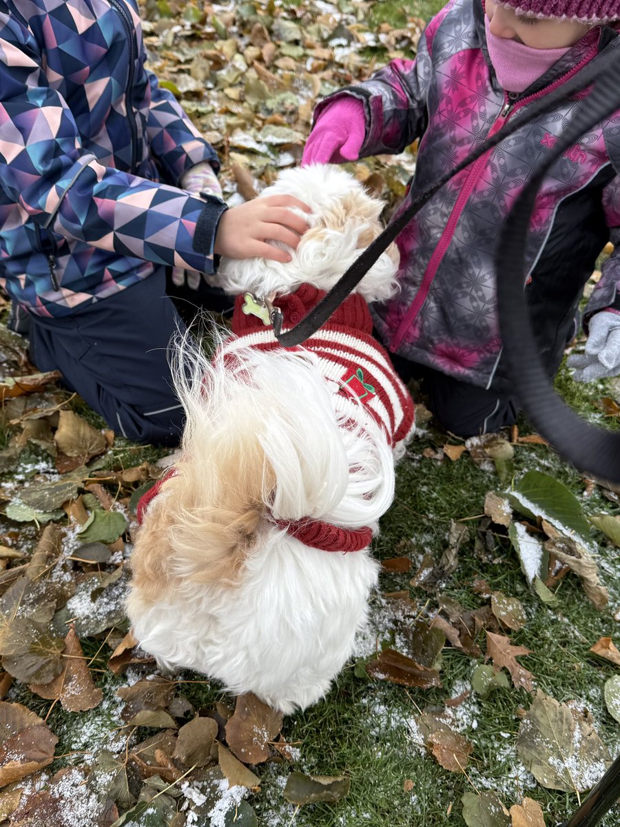 jtherapydog's tweet image. Little windy so a lot of hugs and cuddles at the Santa Claus Parade today.🎅🐶🥰
#DogLovers #NorthBay