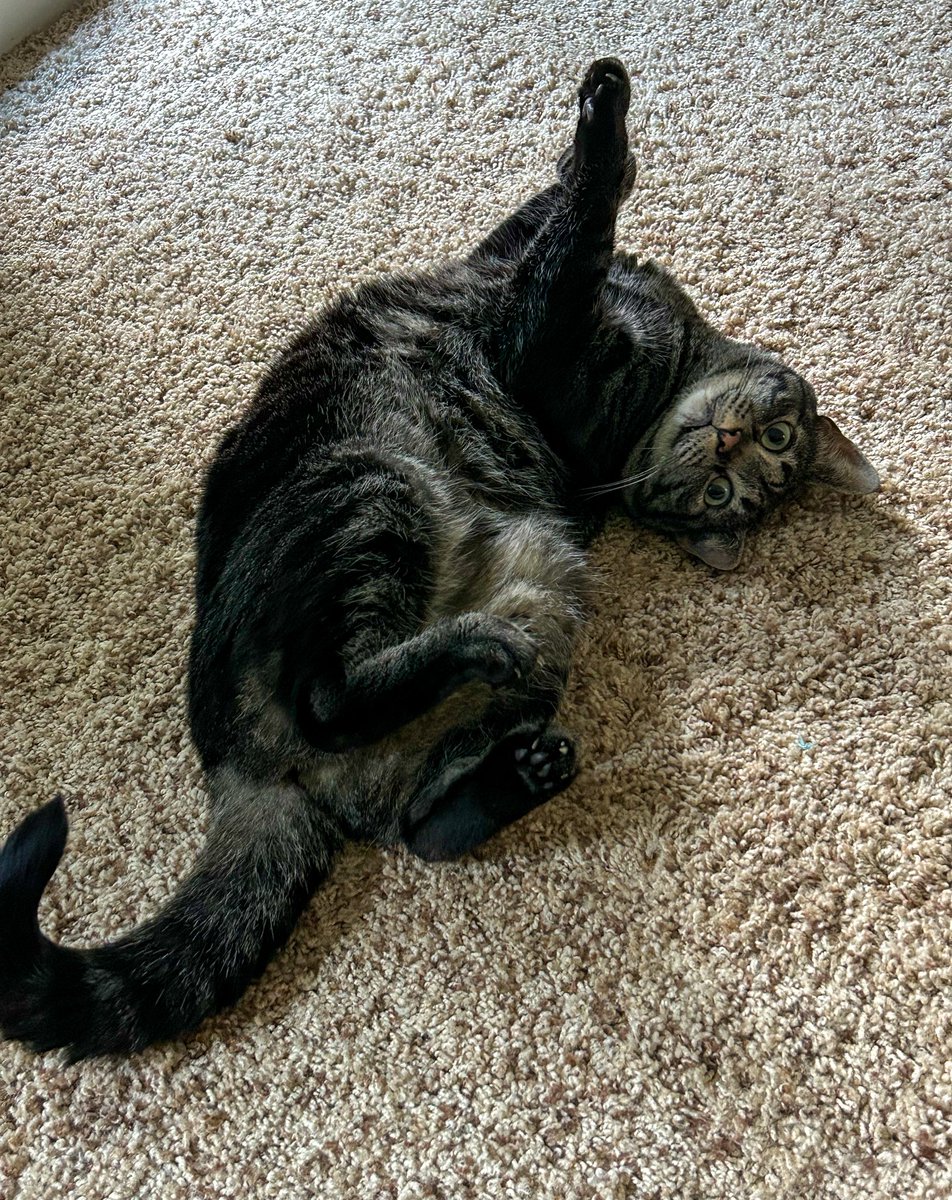 Uh....
Feet Up #SundaySnooze anybody?