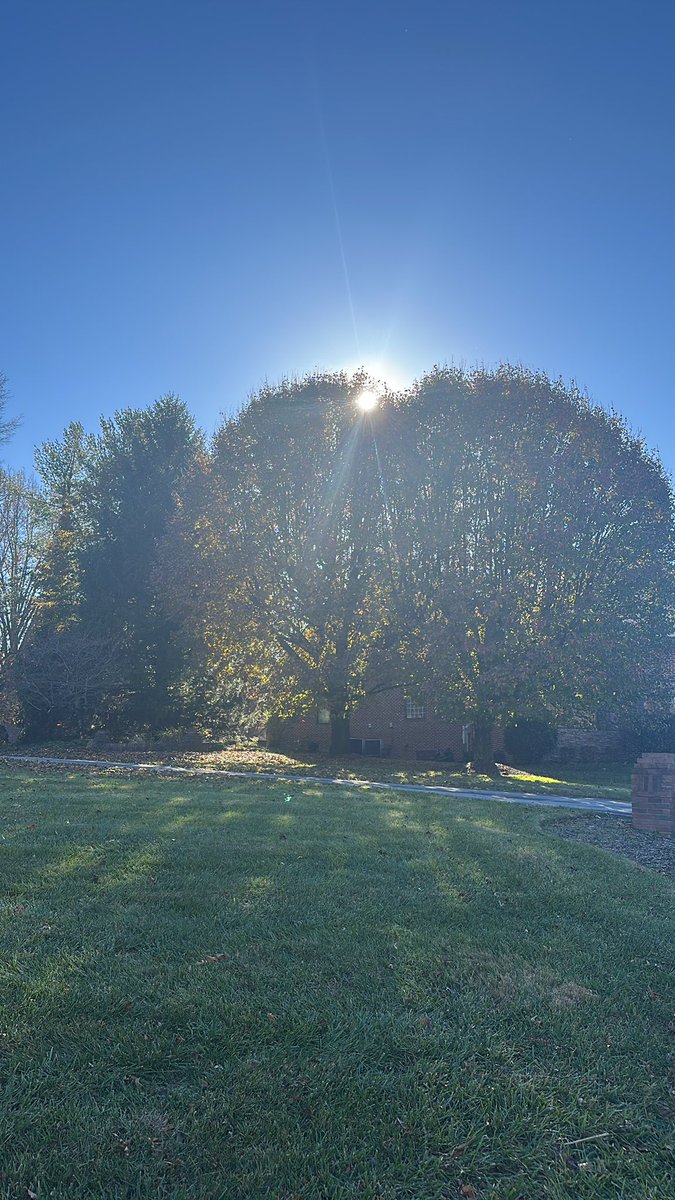 Stoner walks in the Fall!! 🍂🍁🍂