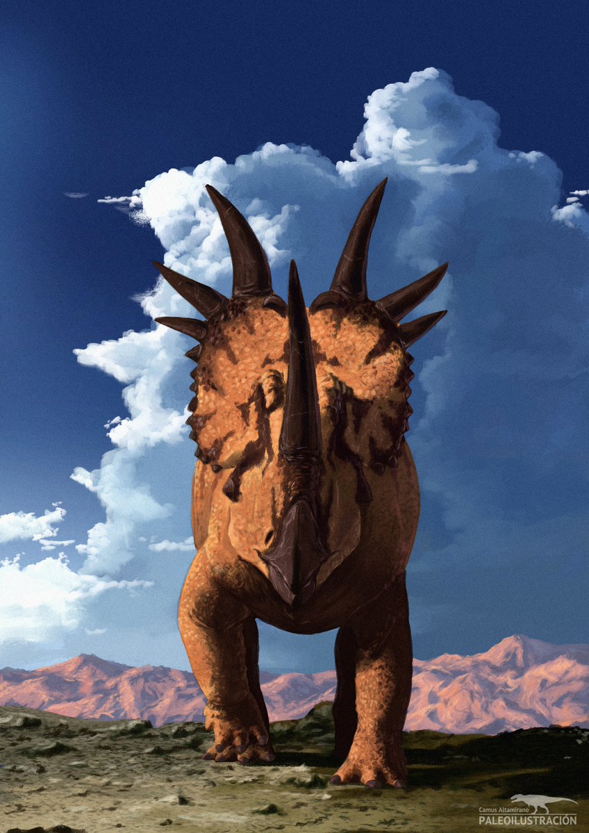 CamusAltamirano's tweet image. Lonely Traveler, 2025.

Here is a higher-resolution version of my entry for the paleoart competition at the Museo Paleontologico di Montevarchi, Italy where I received an honorable mention. It&apos;s a #Styracosaurusalbertensis, whose colors are inspired of Pituophis catenifer sayi.