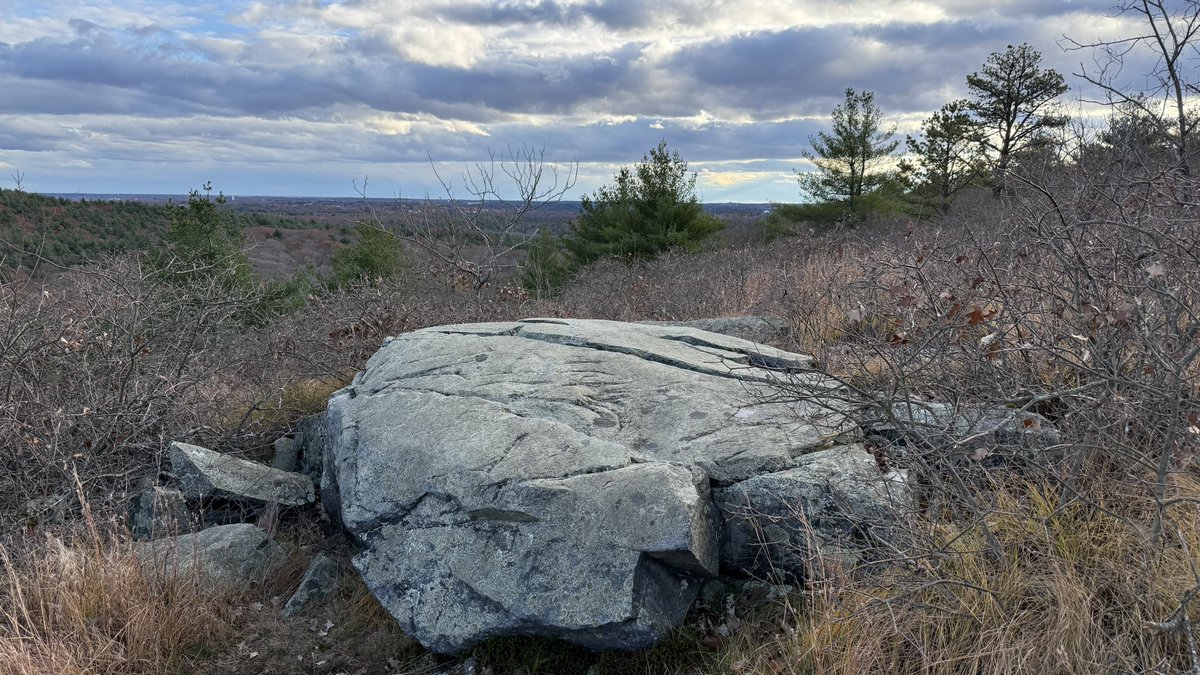 Really great hardcore techno tweet media