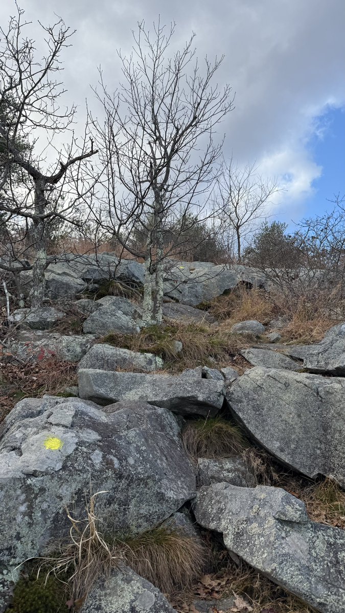 Really great hardcore techno tweet media