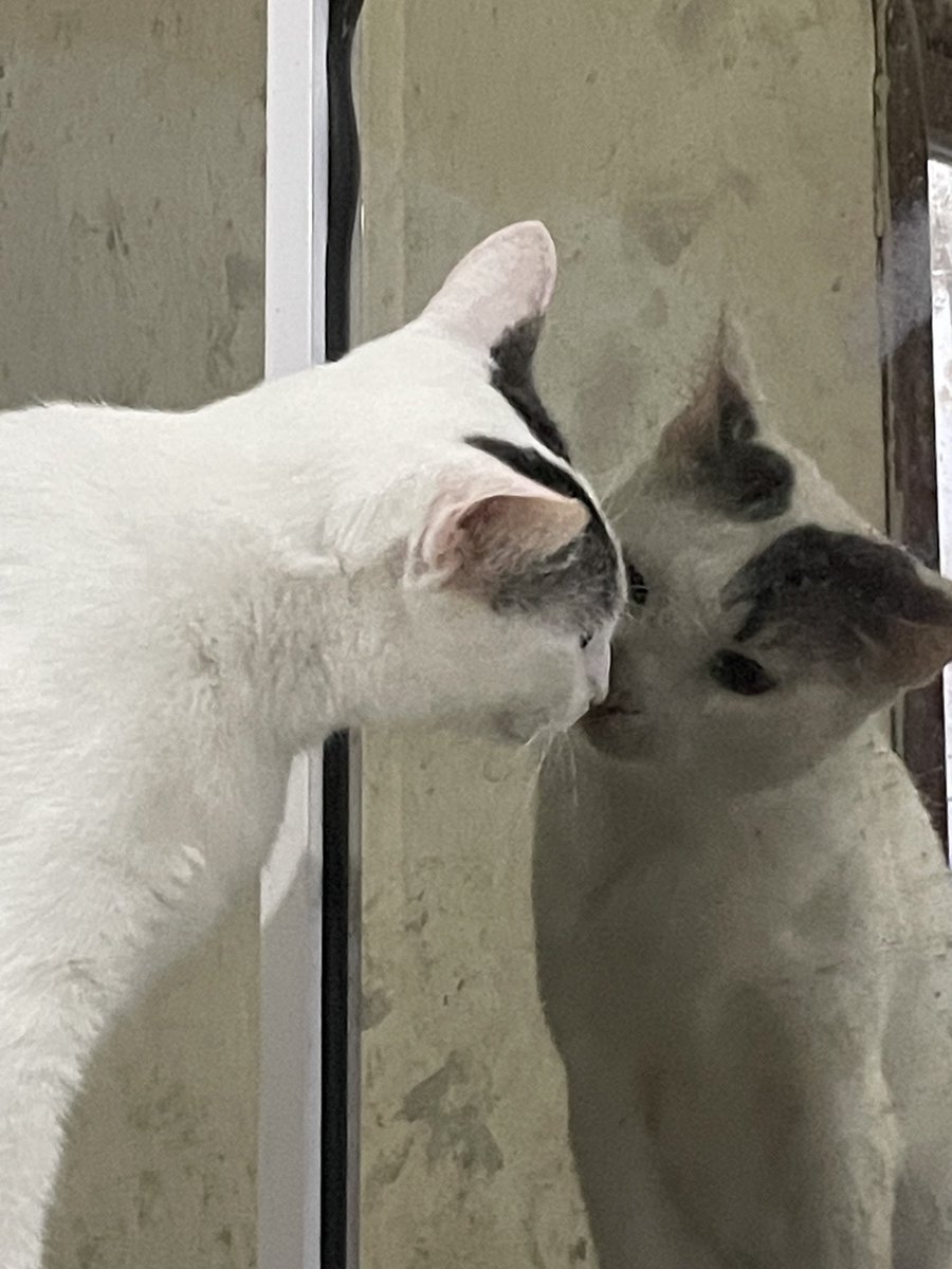 fico vendo a mc melody se olhar assim e só penso se ela tem noção de que essa aí é ela