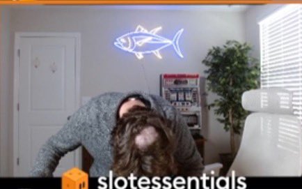 We have a photoshoot today and the mfker does this on stream

Are you kidding me TunaG