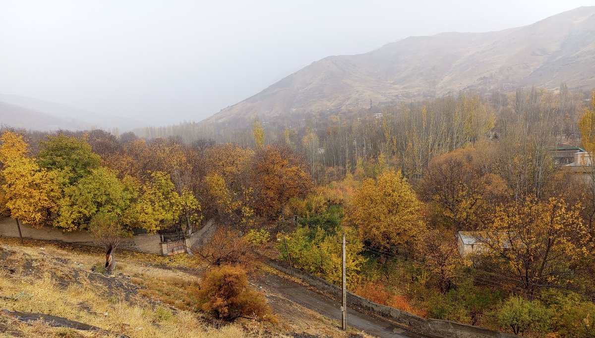 میگن که علیشونم tweet media