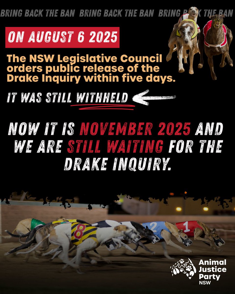 animaljusticeAU's tweet image. 