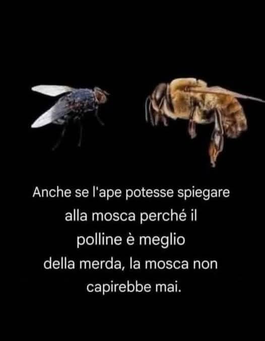 Tony 🏴‍☠️🇮🇹 (@tonyzeta77) on Twitter photo 