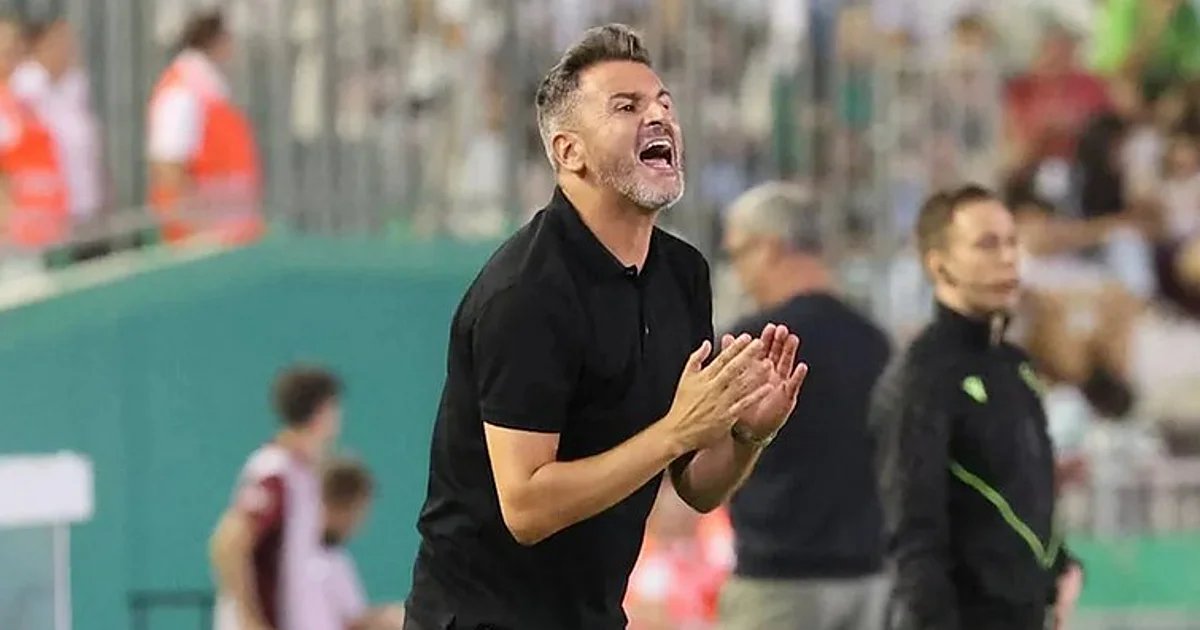 solofichajes123 tweet media