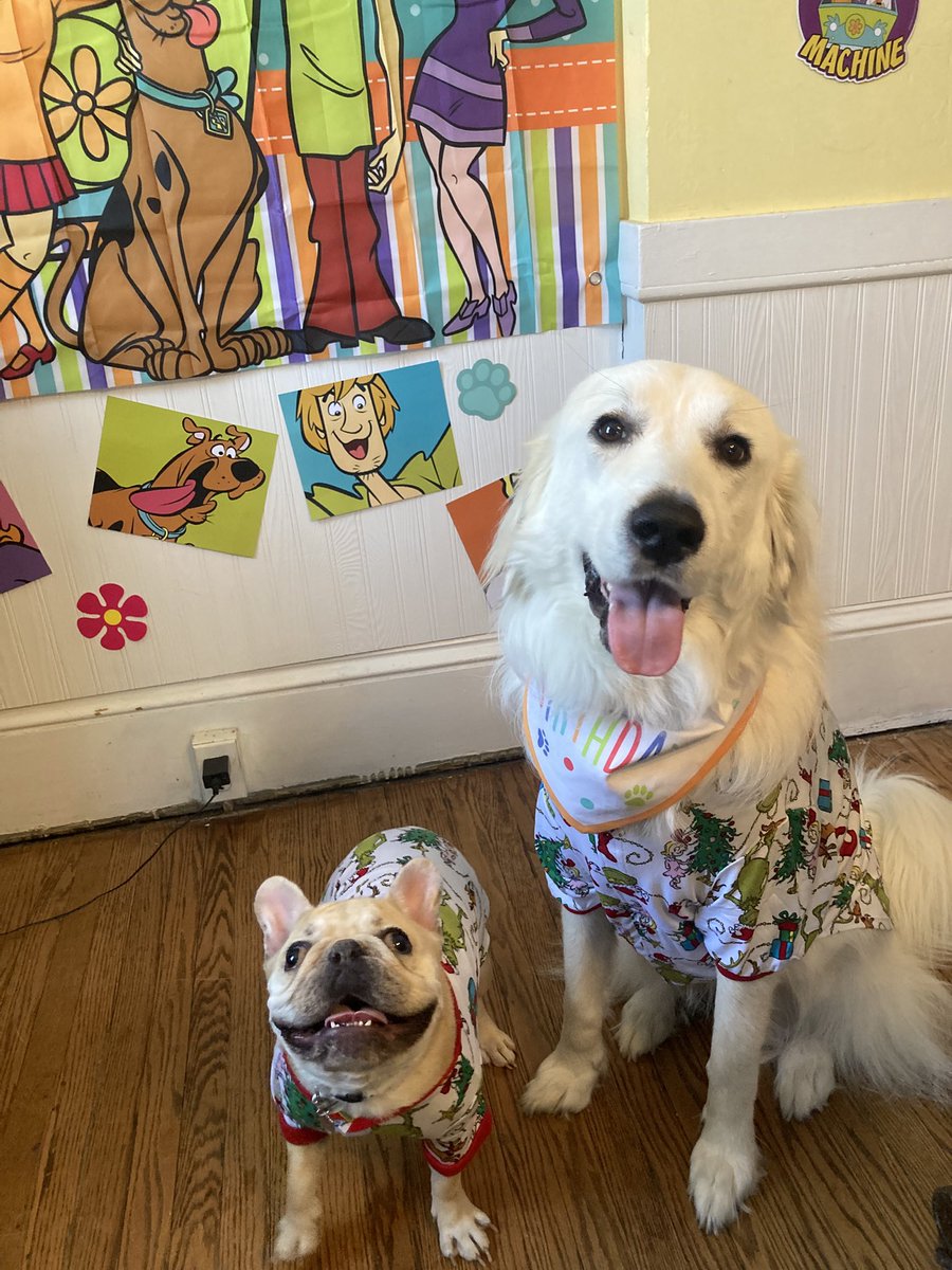 Anna The Pyrenees tweet media
