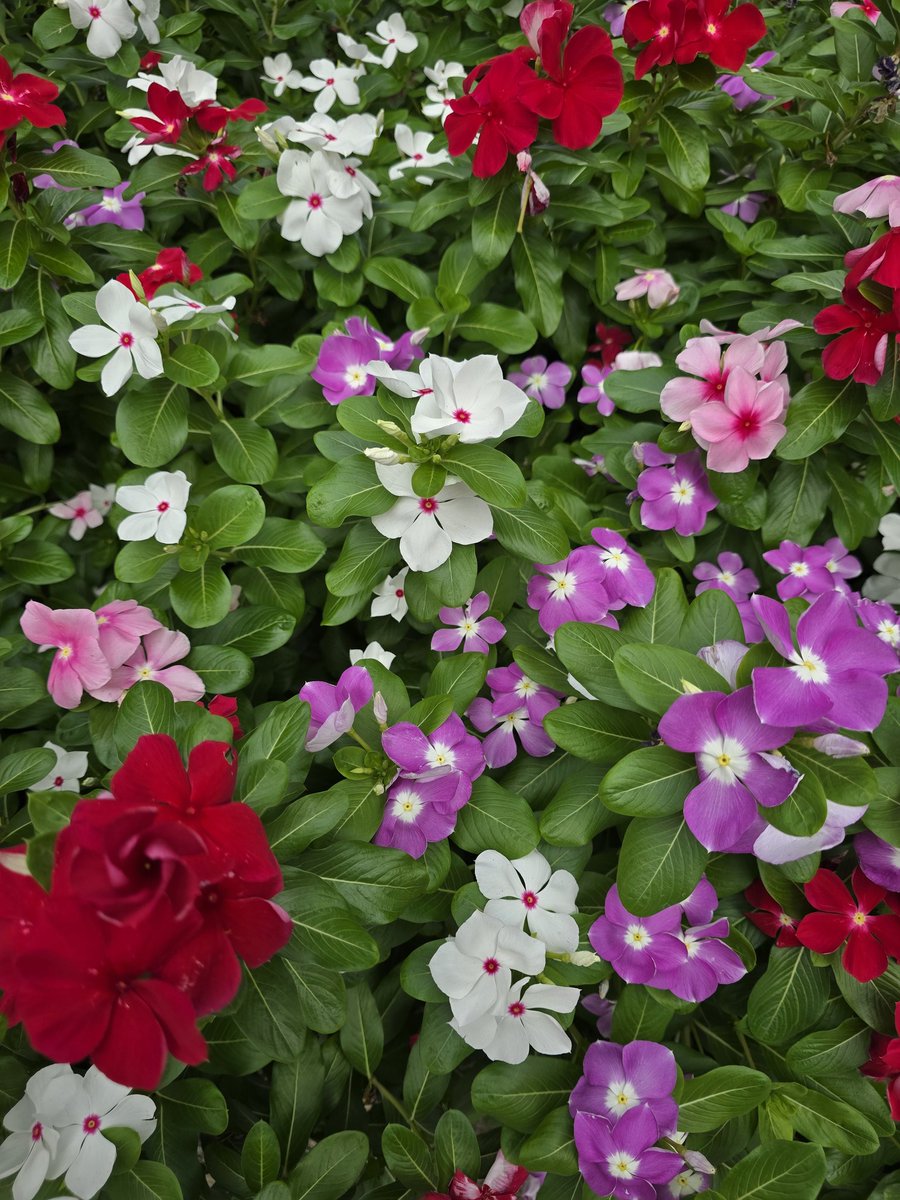 寝ぼけナマコ (@X3OMhdzxcX0F5hq) / Posts / X