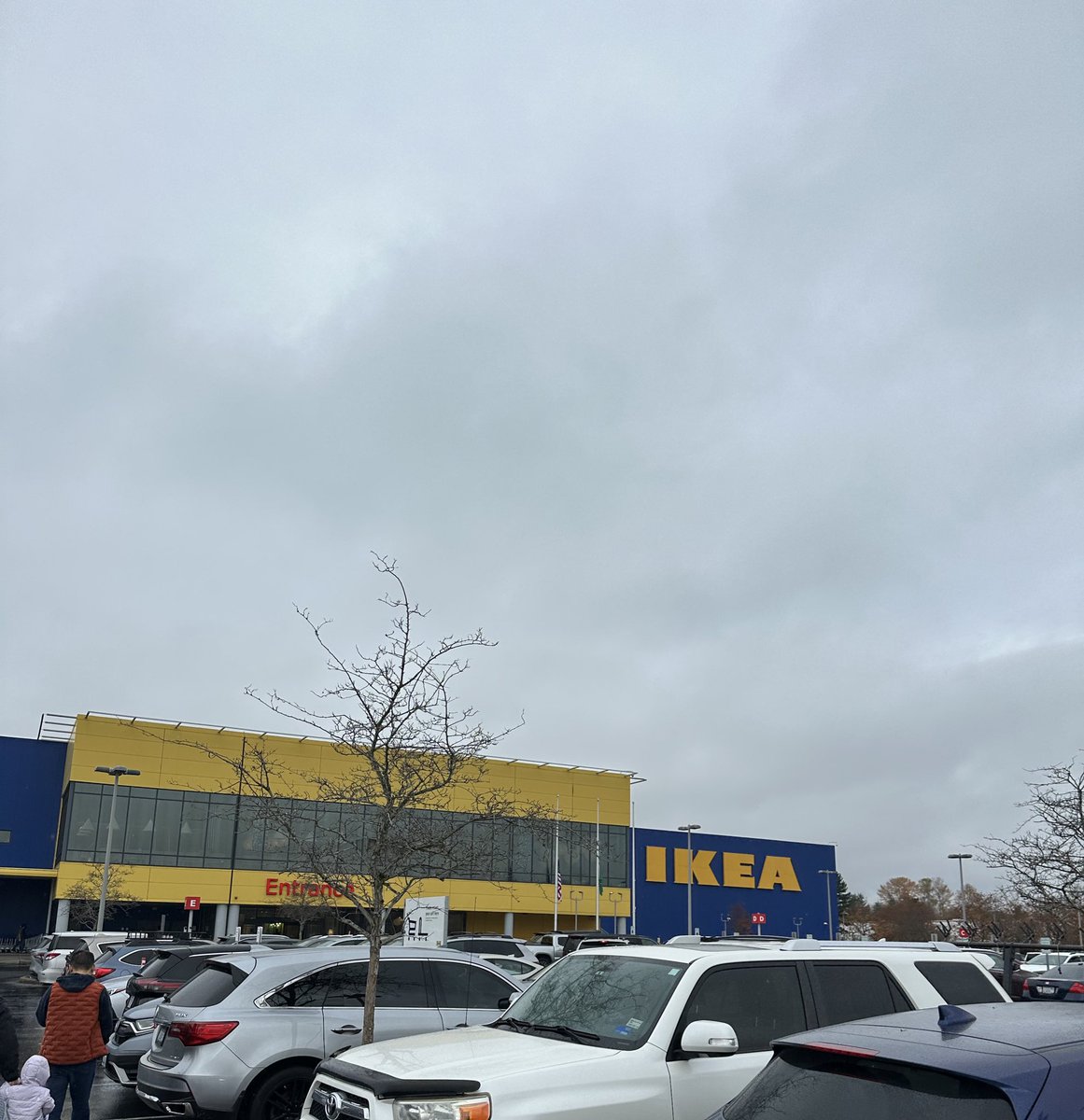 Chasingmytail's tweet image. This place is insane