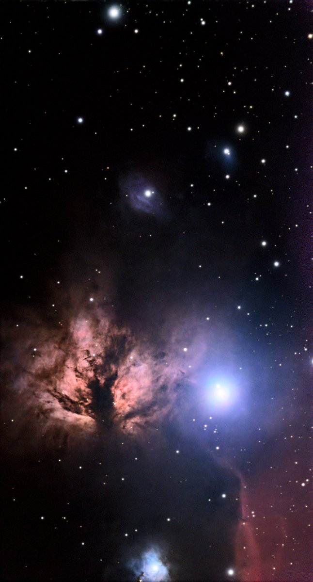 rvanmad's tweet image. 🔭 NGC 2024 – 🔥Flame Nebula in Orion, ~1 300 ly away. Illuminated by Alnitak (ζ Orionis), a blue supergiant whose UV radiation lights up the gas and dust.
📸 Seestar S50 | 660 × 10 s
#FlameNebula #Orion #Astrophotography #Astronomy @smartphone_astr @Seestar_astro  @SpaceBiz1