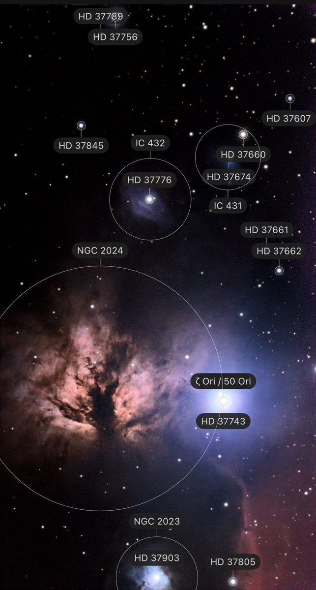 rvanmad's tweet image. 🔭 NGC 2024 – 🔥Flame Nebula in Orion, ~1 300 ly away. Illuminated by Alnitak (ζ Orionis), a blue supergiant whose UV radiation lights up the gas and dust.
📸 Seestar S50 | 660 × 10 s
#FlameNebula #Orion #Astrophotography #Astronomy @smartphone_astr @Seestar_astro  @SpaceBiz1