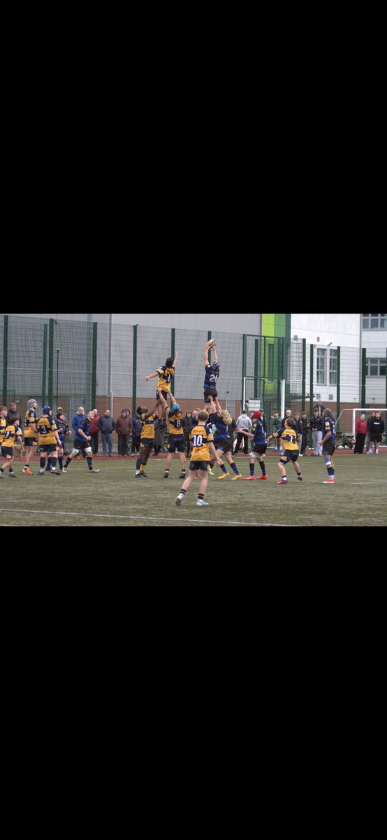 Newbridge Vikings tweet media