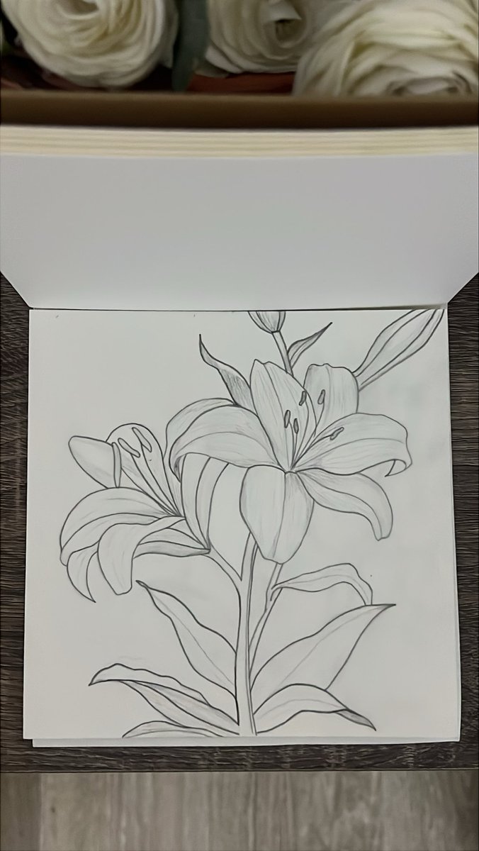 582411___'s tweet photo. رسمة نوڤمبر .. أحب الشهر هذا بالتحديد لأنه يضم يوم ميلادي وأحس إني اشرق إشراقة خاصه فيه كل سنة ..
بمُناسبة الإشراق والجمال رسمت سكيتش لزهرة الزنبق .. 💝 https://t.co/lDu3yJrZzR