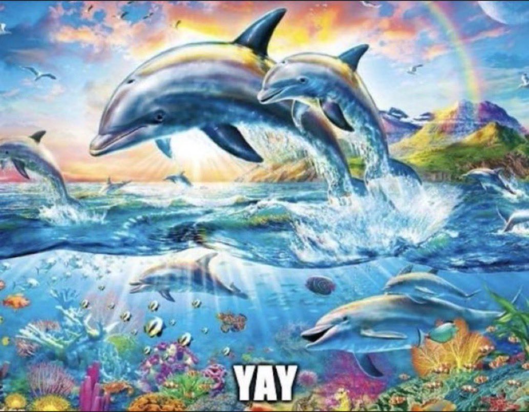 soitssgoes's tweet image. seated for now you see me now you don’t