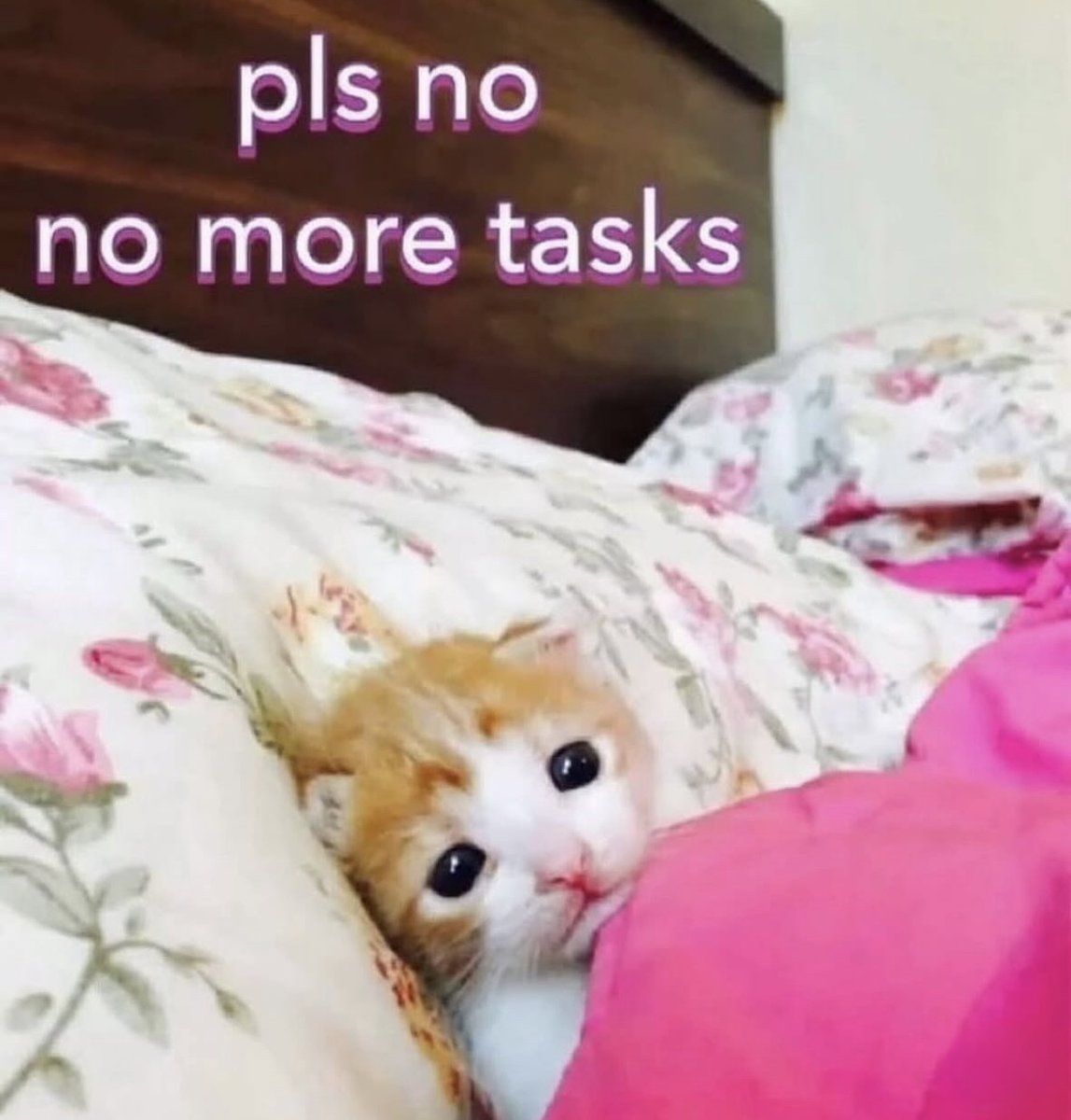 RespectfulMemes's tweet image. 