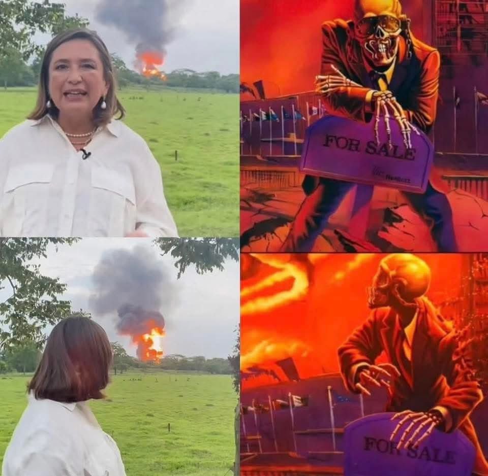 nacional_memes's tweet image. México subrreal 🐶