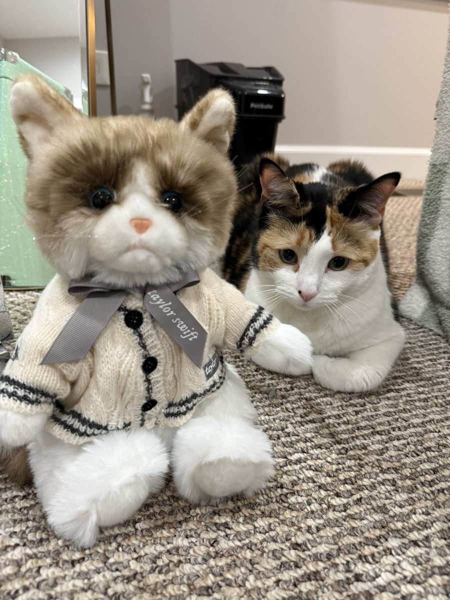 Leah ❤️🔥 | #1 Hits Different fan tweet media