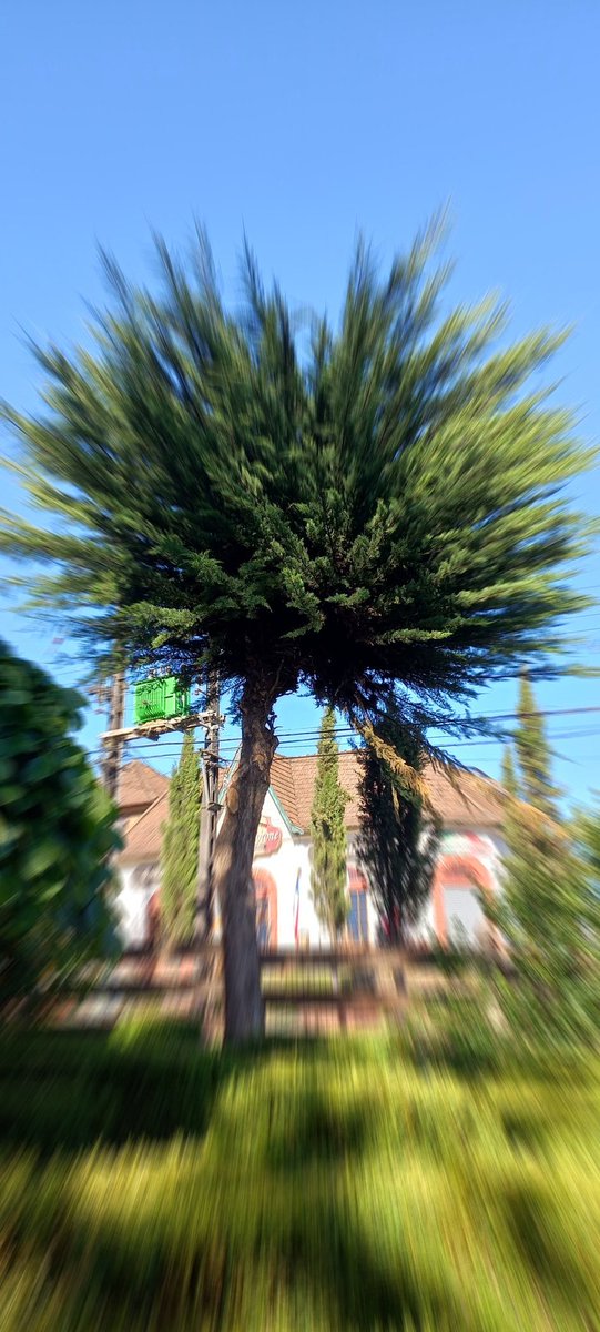 Sole ⚡️ (@soleviviendo) on Twitter photo 