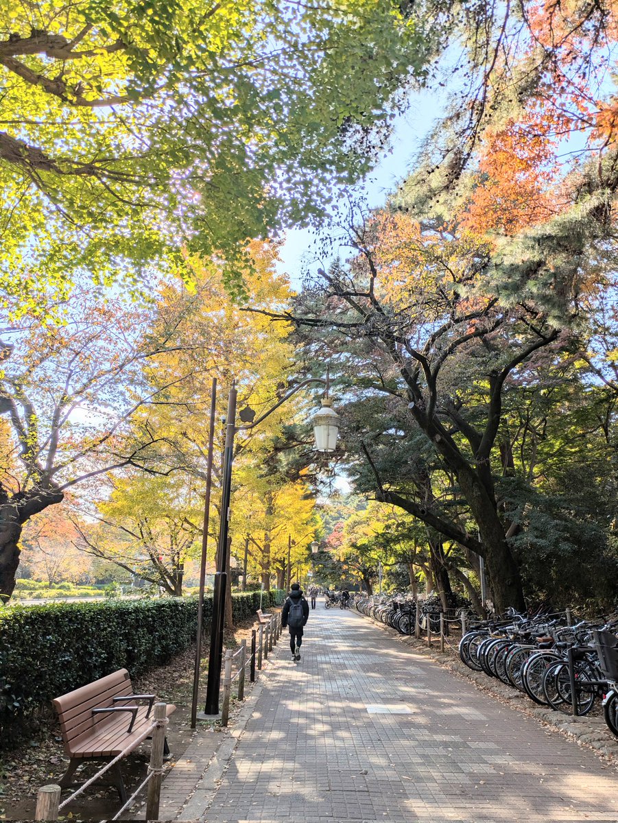 #電話で個別がんサロン 📞
毎週水曜　11:30〜

東京は秋晴れ🍂
今週もよろしくお願いします😊

子育て　仕事　治療　親の介護…

周囲に迷惑をかけないよう自分の体調やQOLを維持しなくちゃいけない…

現役世代は肩の荷が重すぎです

ホッとしませんか？
📞お待ちしてます

sites.google.com/view/souzousur…