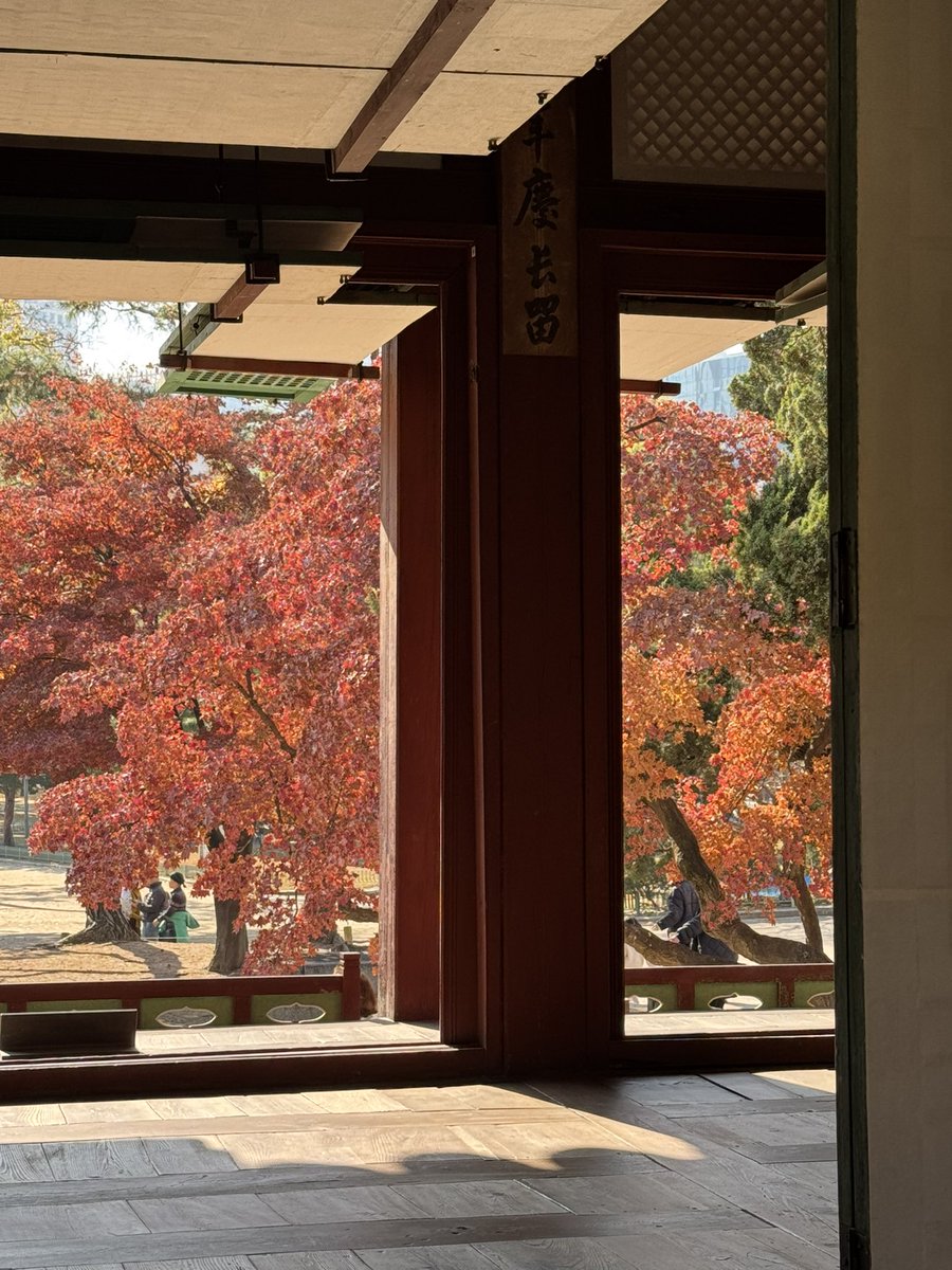 ソウルの秋です。写真は徳寿宮で撮った昨日の写真です。