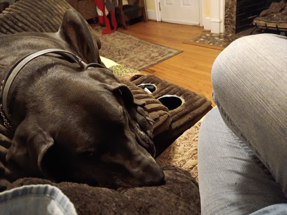 Hanging out with Winston