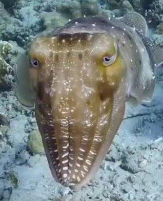 Tyler Milgate tweet media