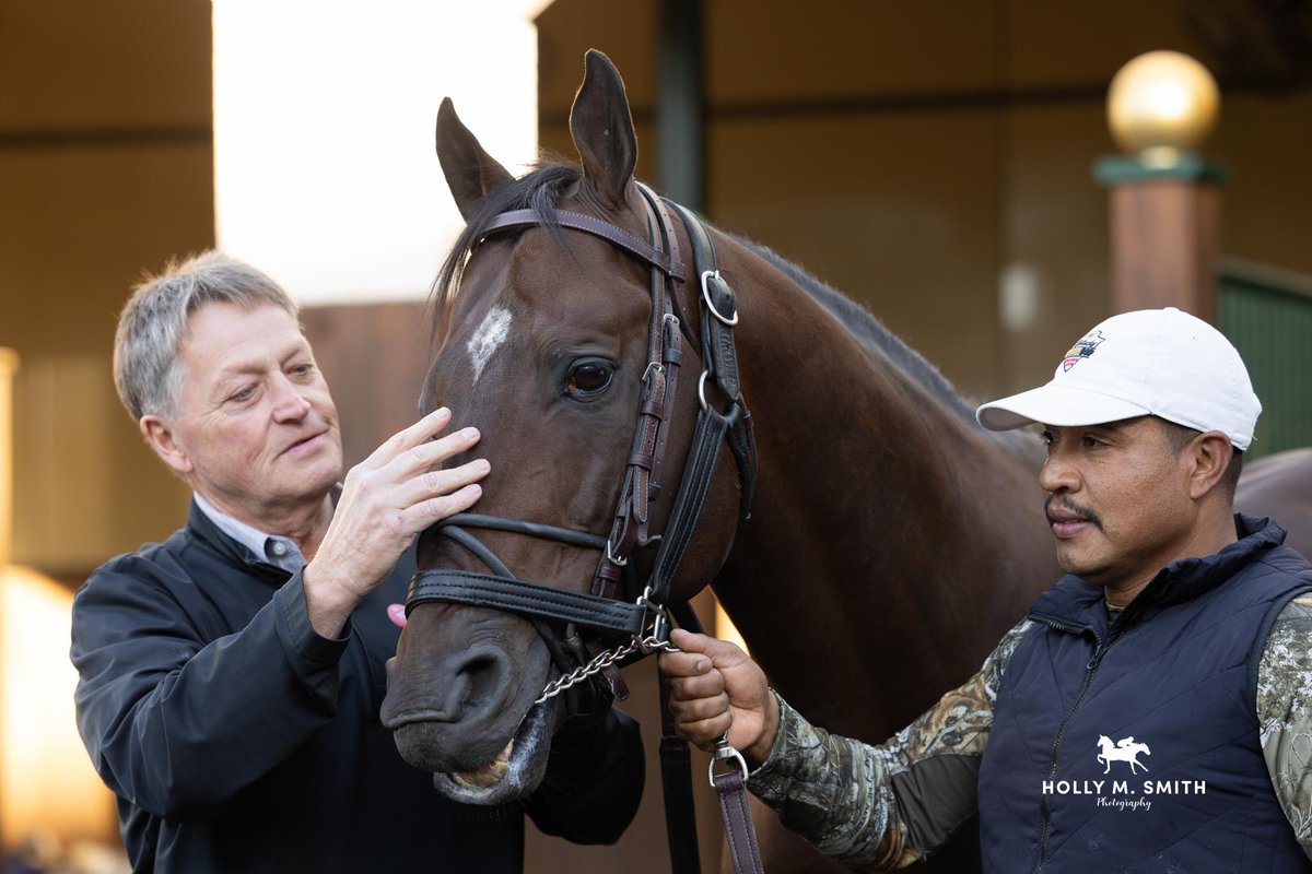 Alex Foley tweet media