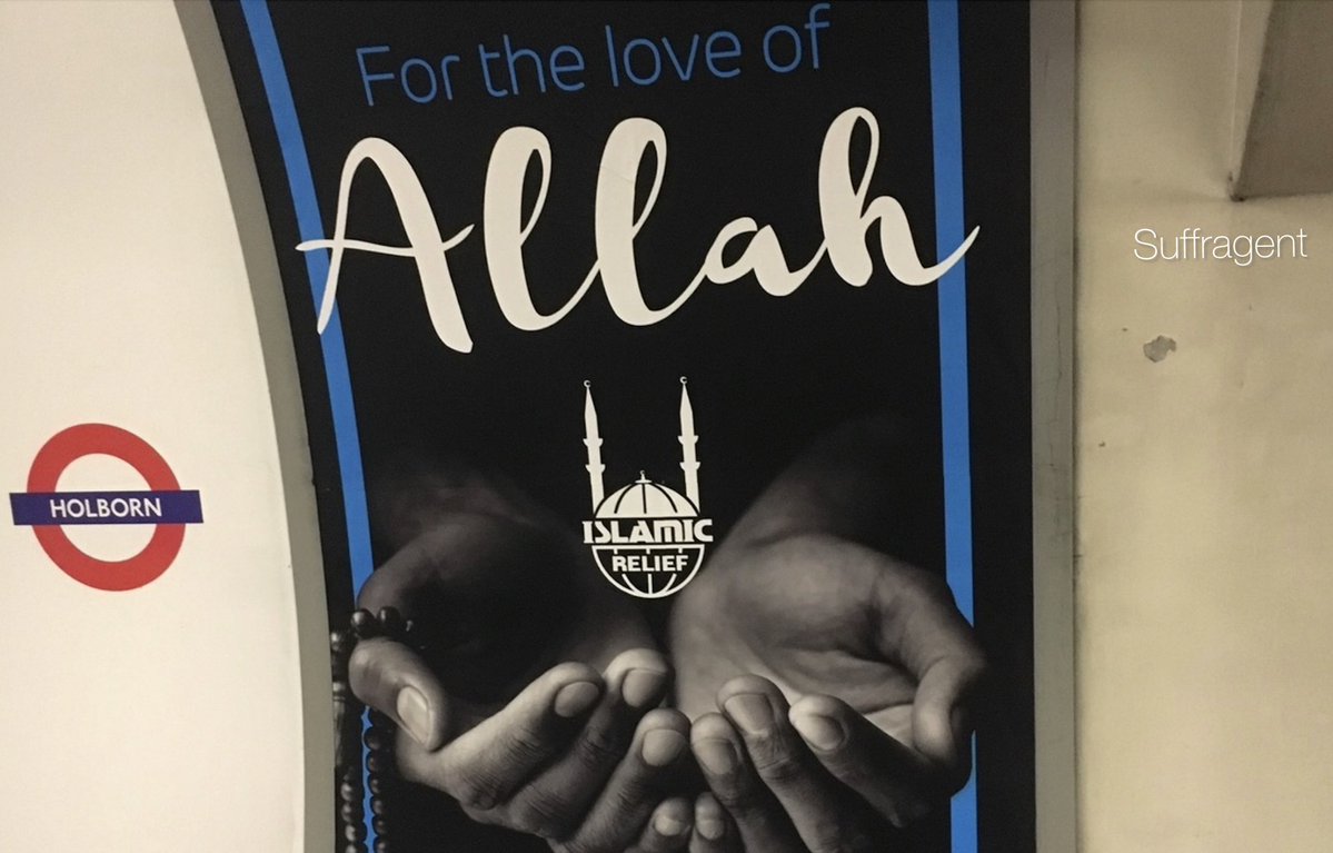 Peter Lloyd tweet media