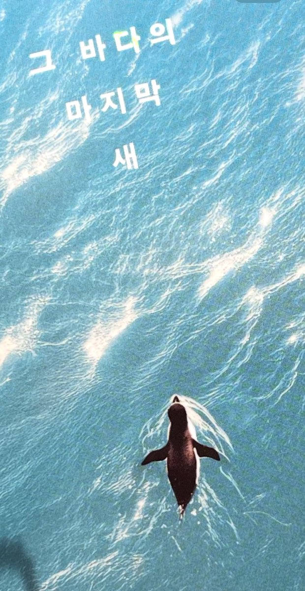 #닫부서평단

그 바다의 마지막 새_잔잔하고 긴 여운을 더 많은 분들과 느끼고 싶어서, 닫부 서평단 짧게 딱 24시간 엽니다. 프로스프...😭

*알티+팔로우 신청자 중 5명 발표(11/18)