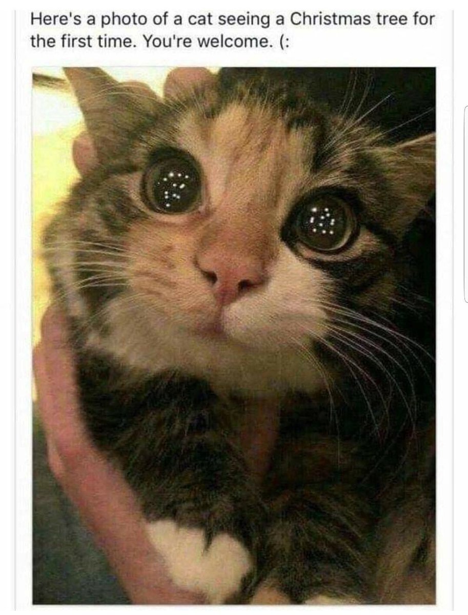 pokerheadrush's tweet image. 