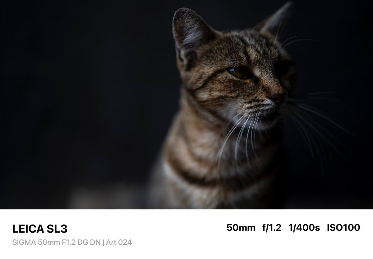 【ケビ男様】イベントなどで大活躍☆キャノン EF 90-300mm USM♡ EF90-300mm F4.5-5.6 USM - キヤノンカメラミュージアム