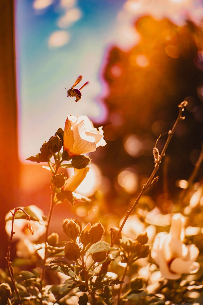 Isaiah (@ocdcamera) on Twitter photo 