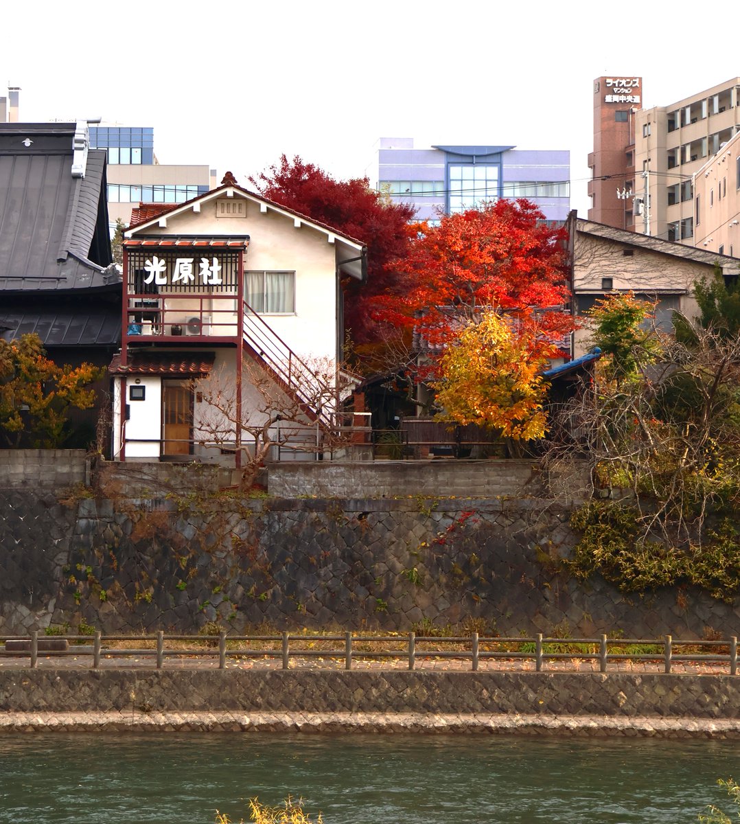 コタンの森 ゆこたんの森【岩手 雫石 南網張ありね 温泉