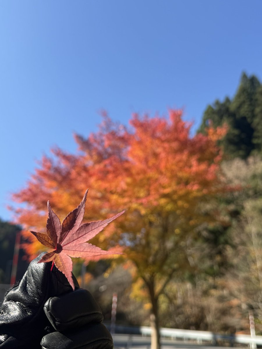 v_stromegu's tweet photo. 週末は夫と父と母と4人で
蒜山▶︎大山へ行ってきました🙌

天気も良く、紅葉シーズンで景色最高でした🍁 https://t.co/8gmP9yoIzG