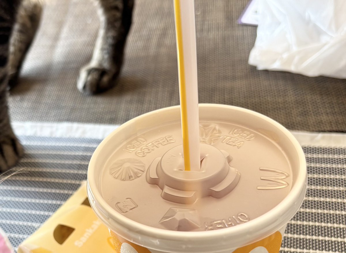 Ramoffle100's tweet image. ウマーイ
そしてプラストローも久しぶり！