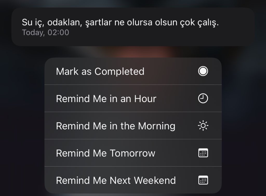 𝗟𝗜𝗔𝗦𝗛 🐺🇹🇷 tweet media